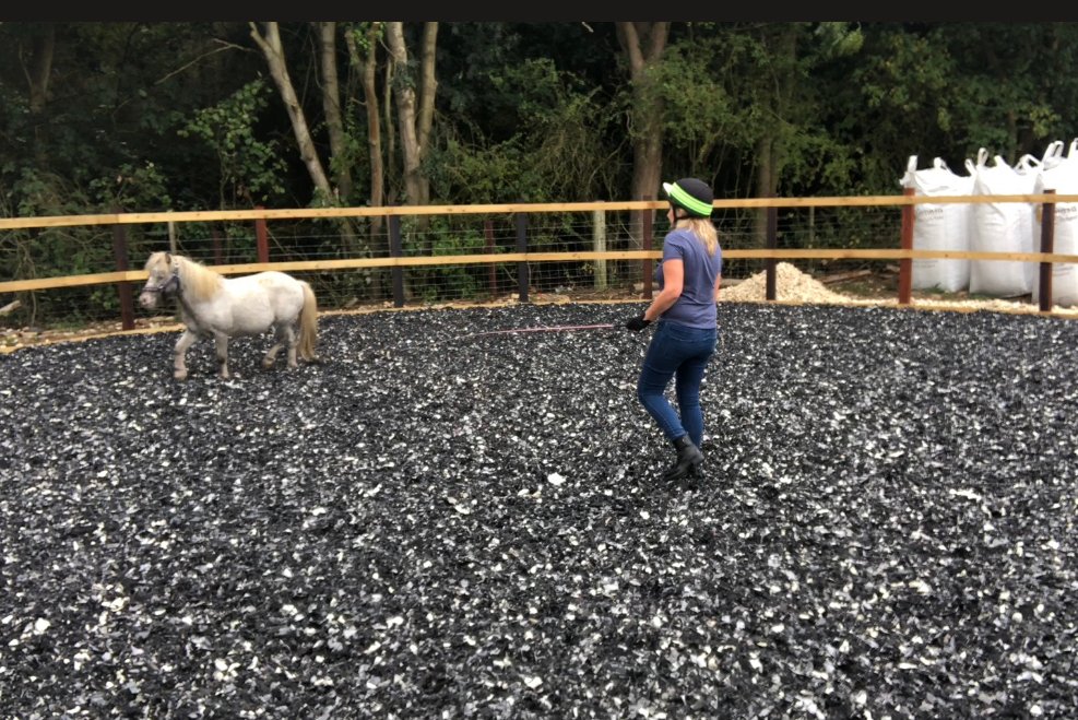 Round pen hire