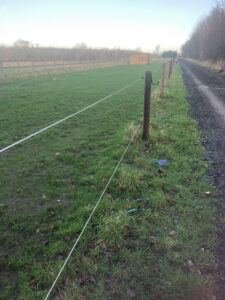 Paddock fencing 