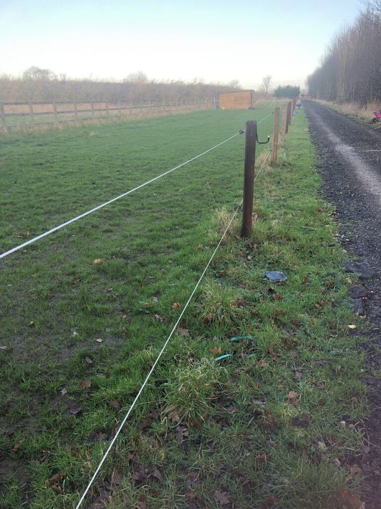 Paddock fencing