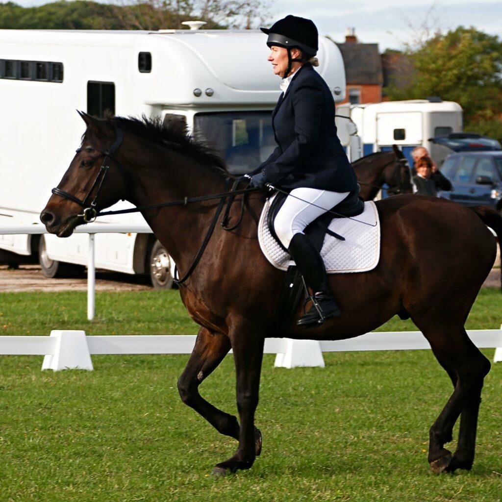 dressage for beginners