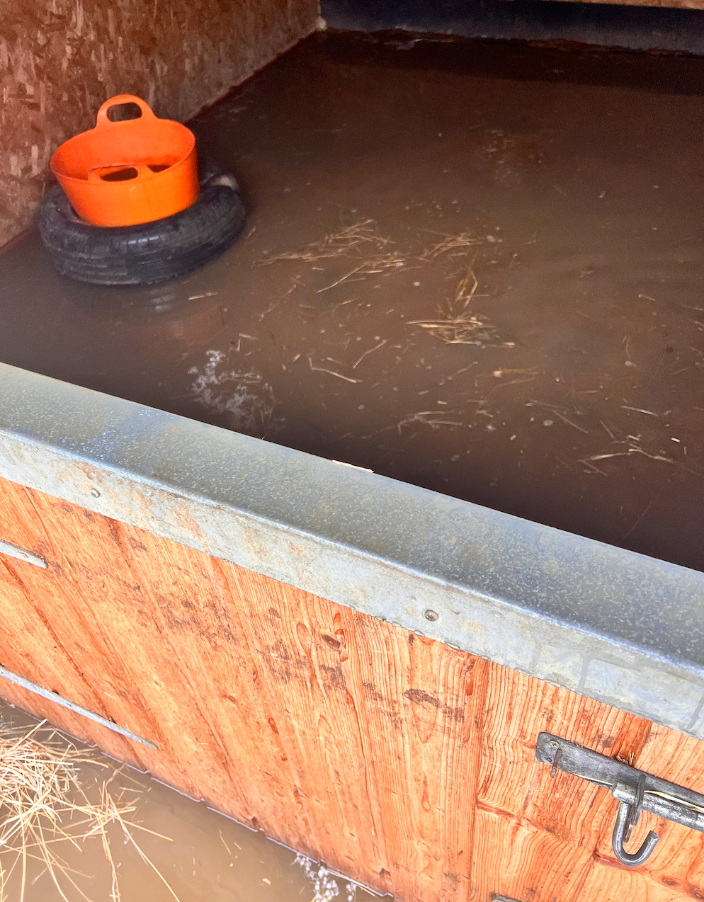 Flooded Stables