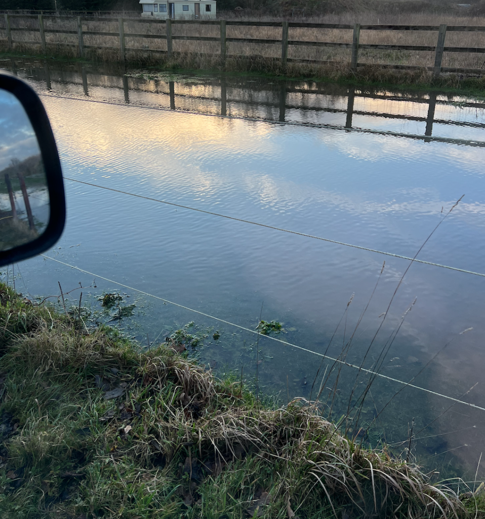 Flooded Paddock