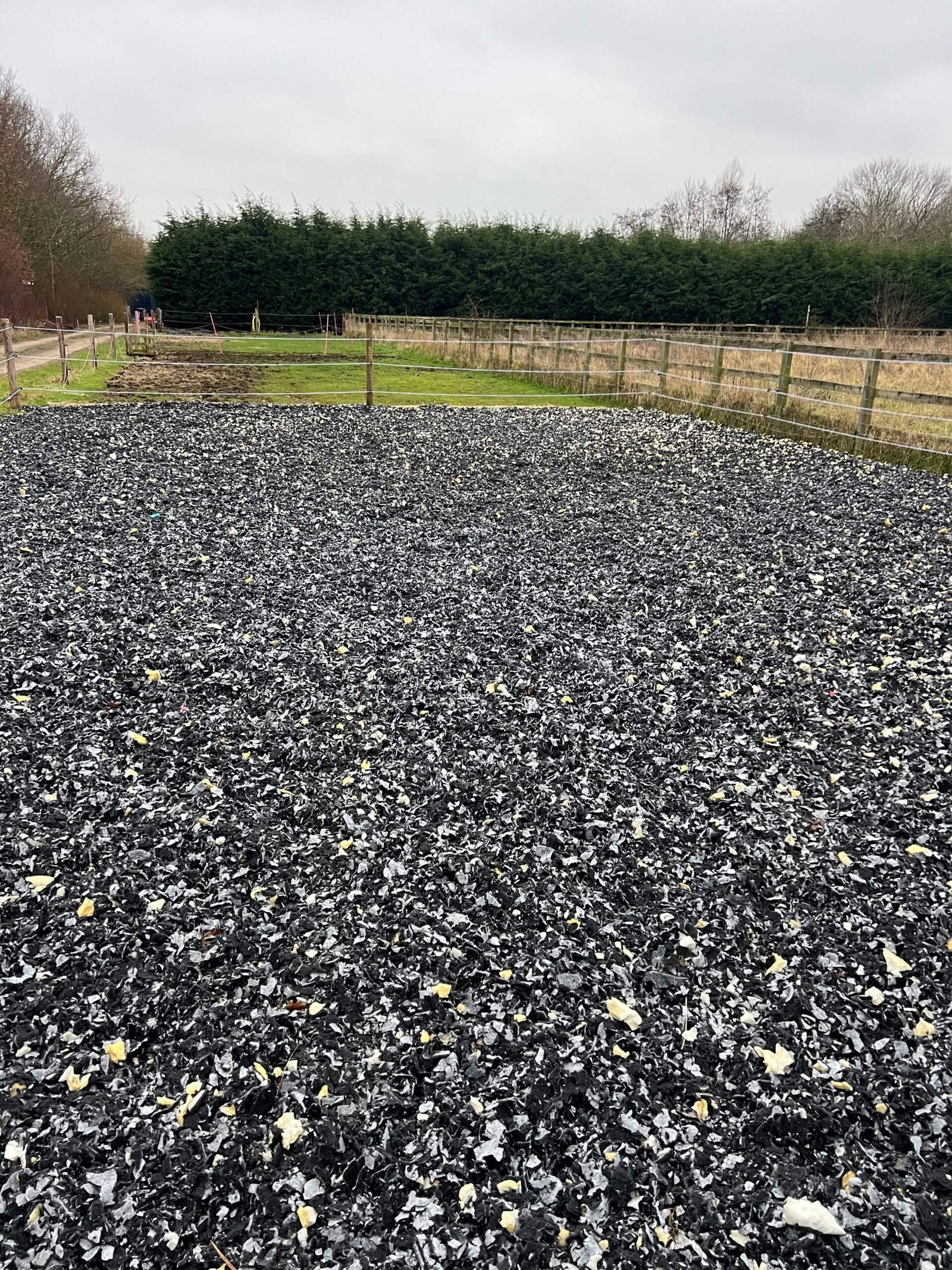 wet weather no mud turn out